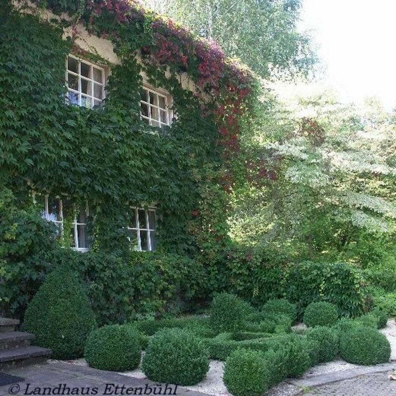 Landhaus Ettenbuehl Bed And Breakfast Бад Белинген Екстериор снимка