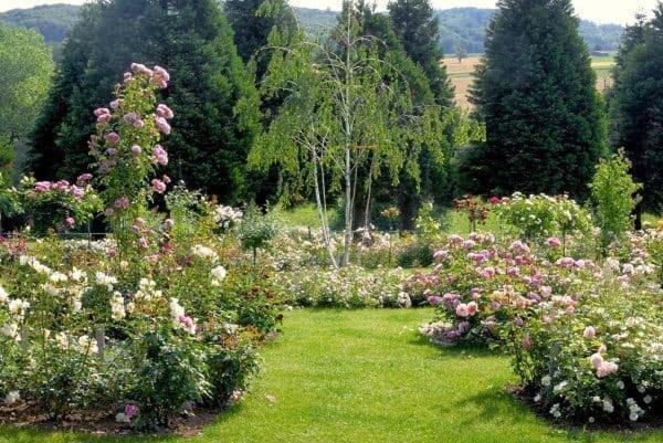 Landhaus Ettenbuehl Bed And Breakfast Бад Белинген Екстериор снимка