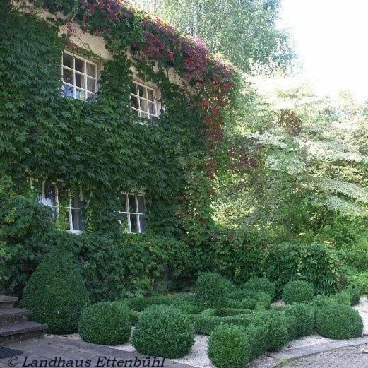 Landhaus Ettenbuehl Bed And Breakfast Бад Белинген Екстериор снимка